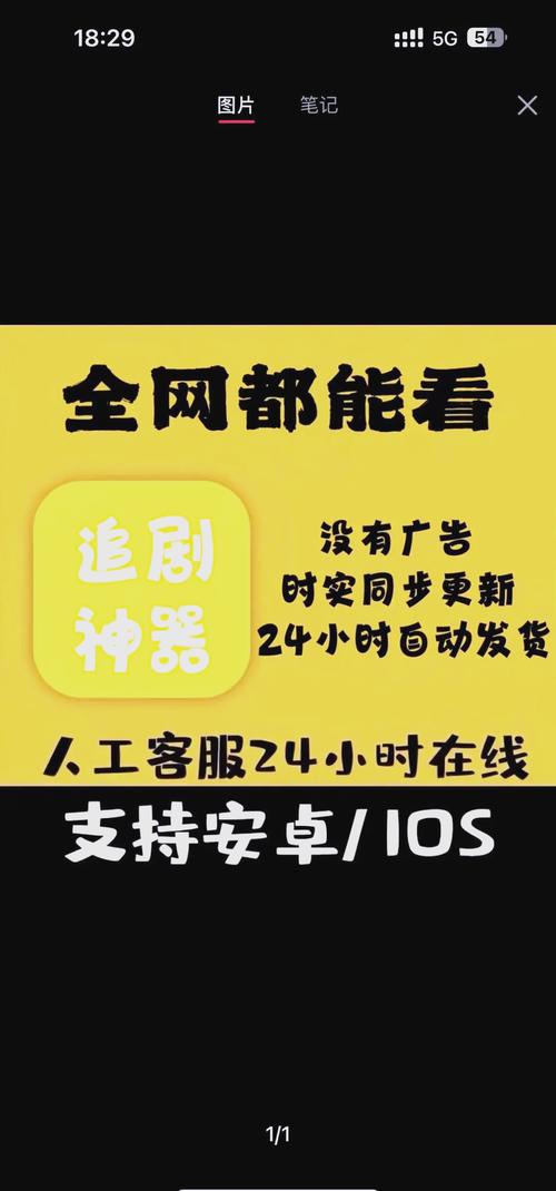 日本老熟妇伦理片的相关介绍