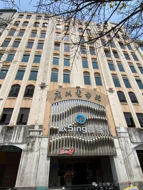 免费看视频网站app下载的相关介绍