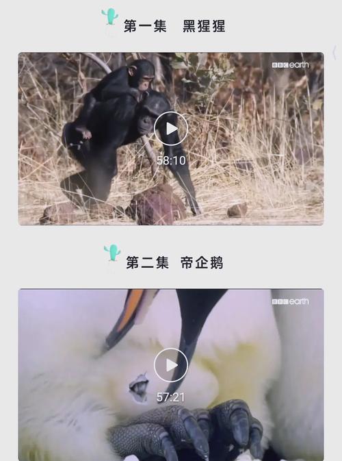 你也有今天策驰影院的相关介绍