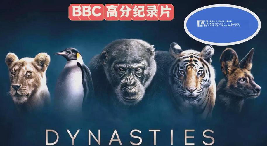 旋风影院的相关介绍