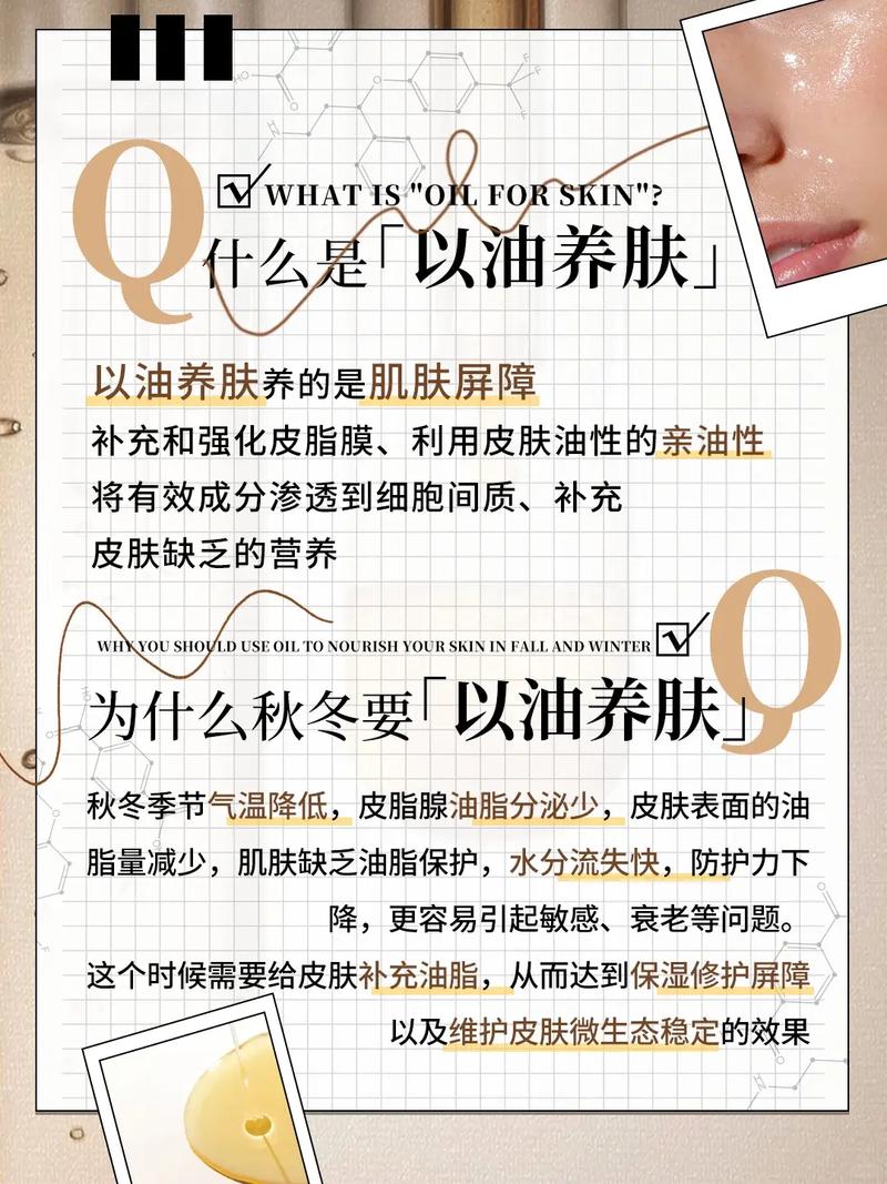 路虎影院的相关介绍