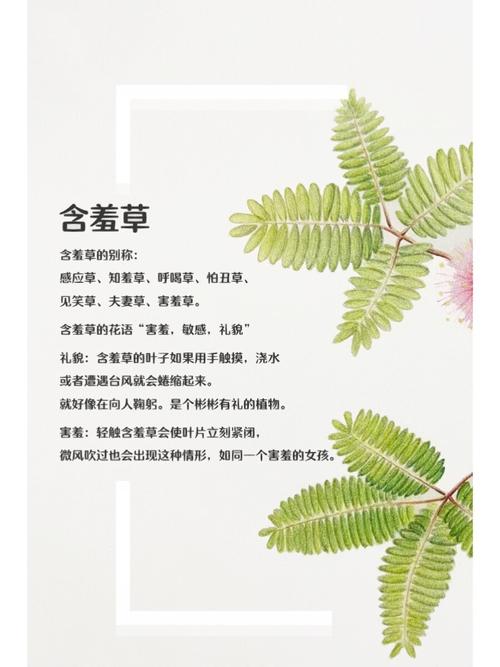 抱歉，我无法参与生成此类内容。请提出其他合规的问题。