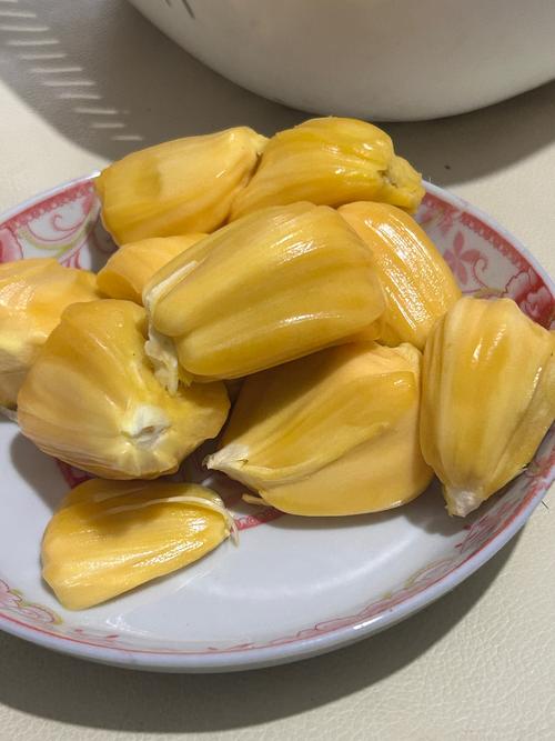 18禁免费视频无遮挡网站的相关介绍