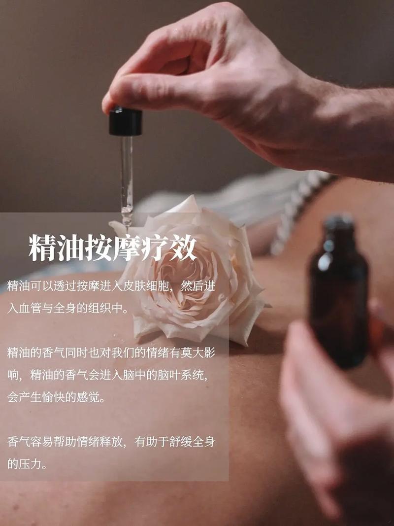 大学生美女高潮毛片的相关介绍