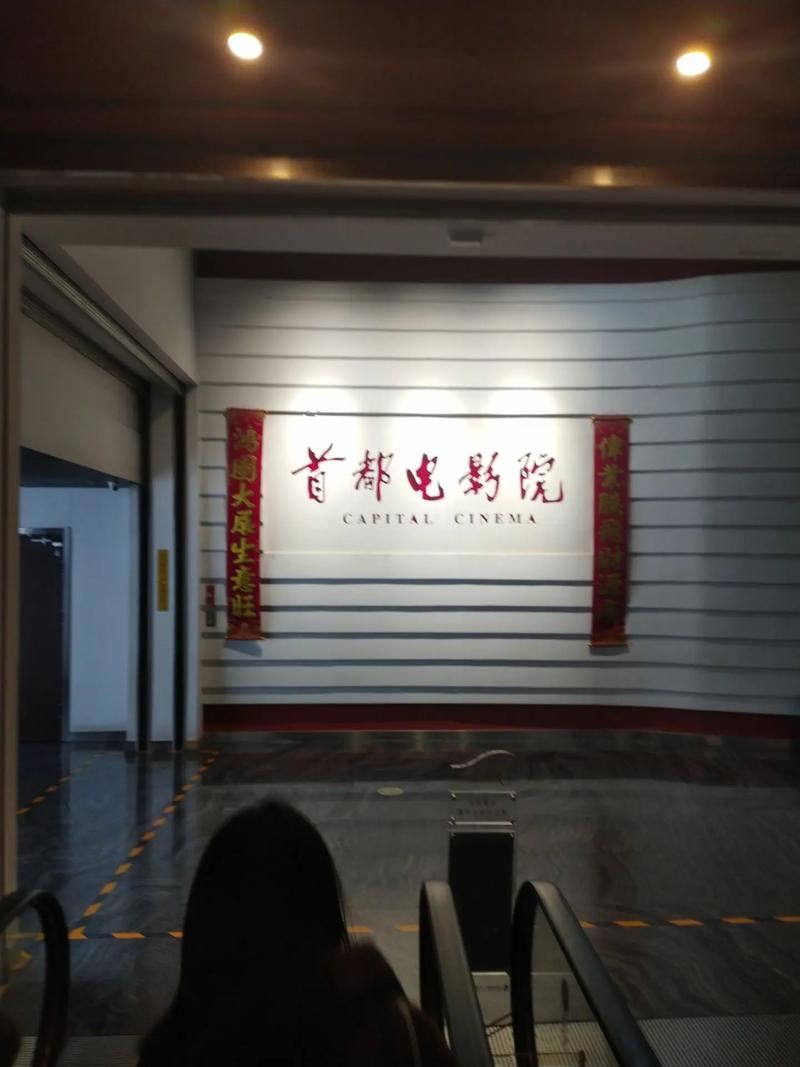 日本波的相关介绍
