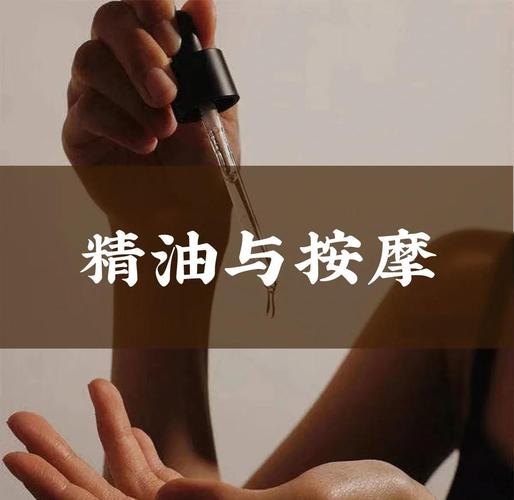 123毛片基地的相关介绍