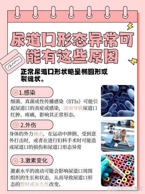 亚洲美女av一区二区的相关介绍
