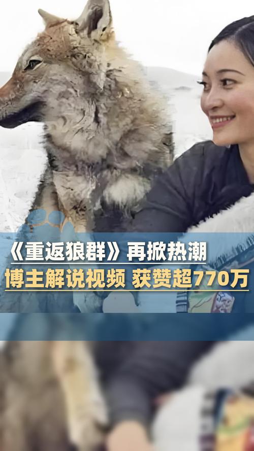 少妇熟女天堂网av的相关介绍