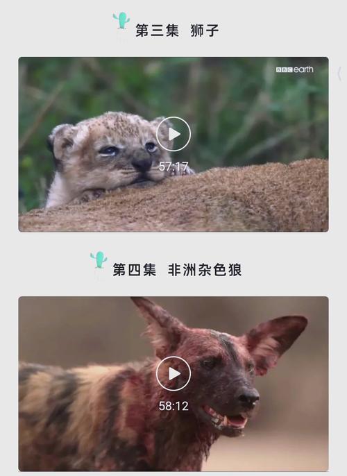女性下面黄色分泌物多是什么原因的相关介绍