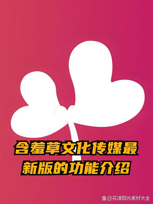 精子窝影院的相关介绍