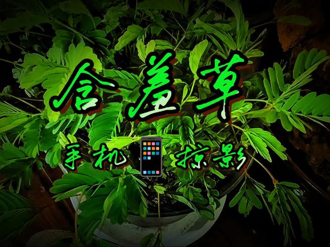 影院活动的相关介绍