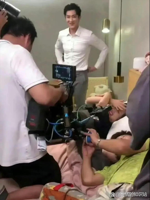 久久精品国产久精国产思思的相关介绍