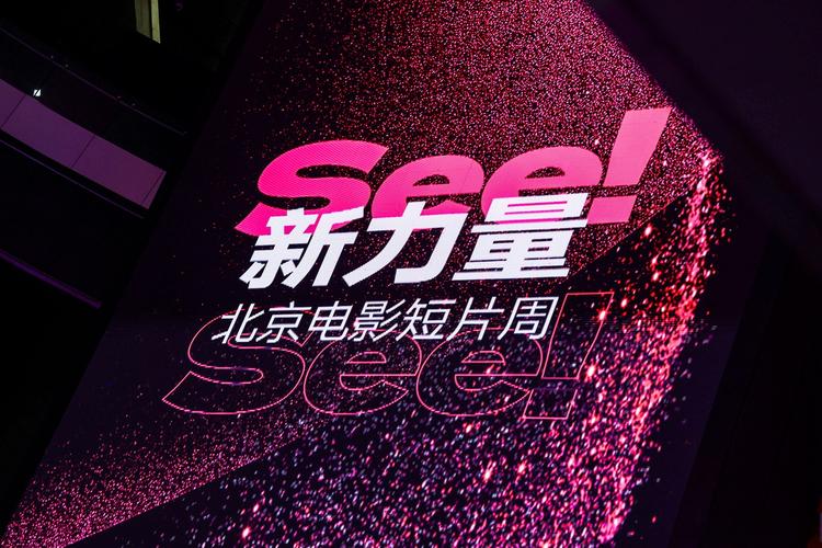 飘雪影院的相关介绍
