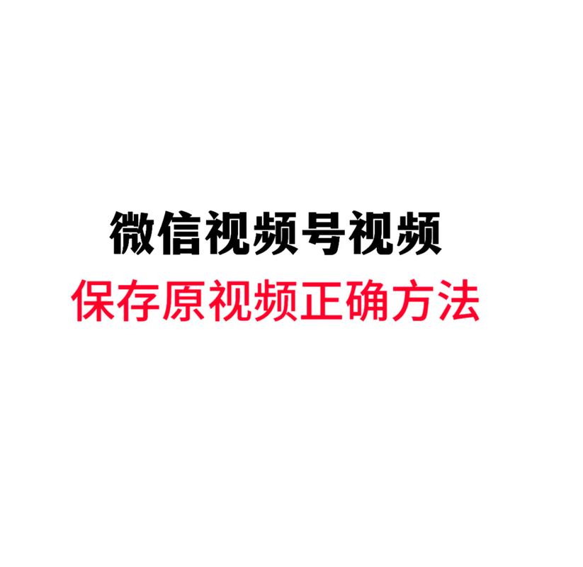 日b视频app下载的相关介绍