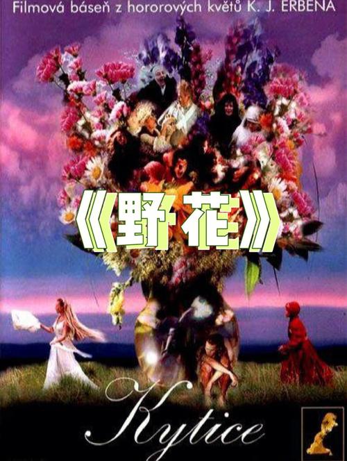 刺激大片久久av的相关介绍