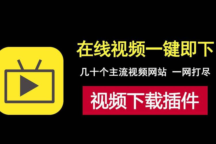 6精品久久久的相关介绍