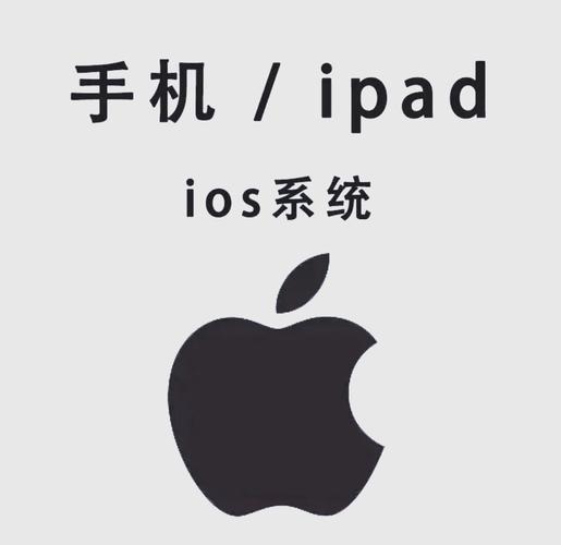干逼动漫软件的相关介绍