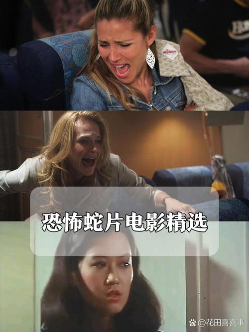 成年女人18女人毛片大全的相关介绍