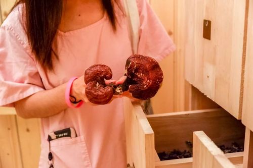 小视频下载app的相关介绍