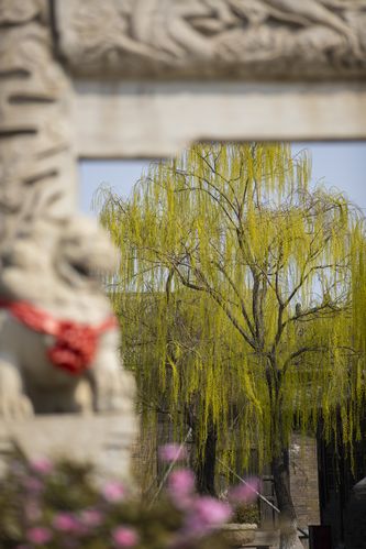 欧洲久久激情的相关介绍