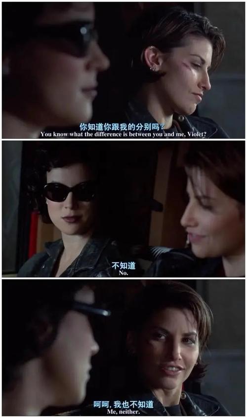 欧美在线h的相关介绍