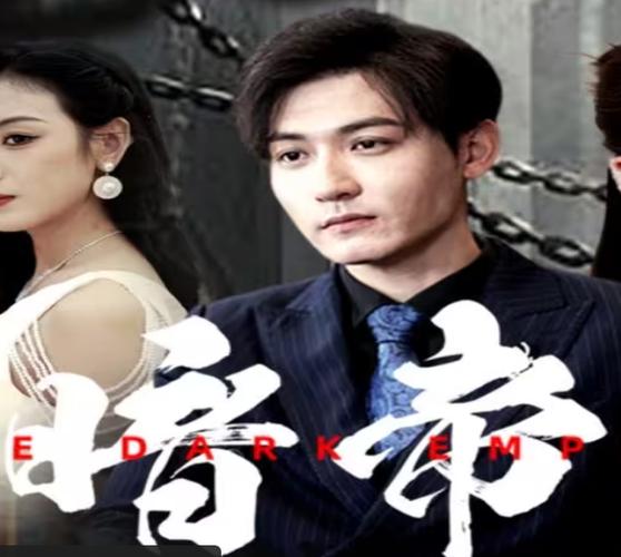 .app免费下载视频的相关介绍