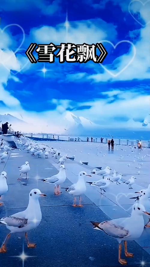 夜夜春亚洲嫩草影院的相关介绍
