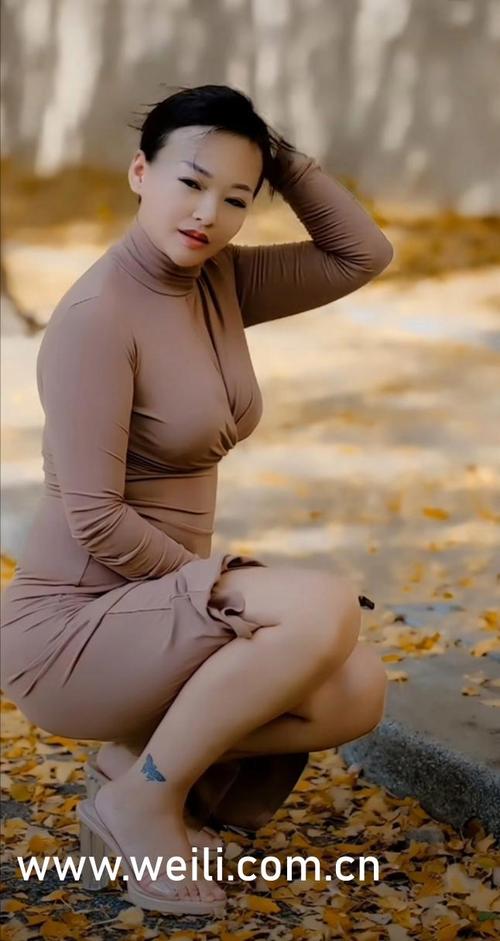 av黑丝熟女的相关介绍