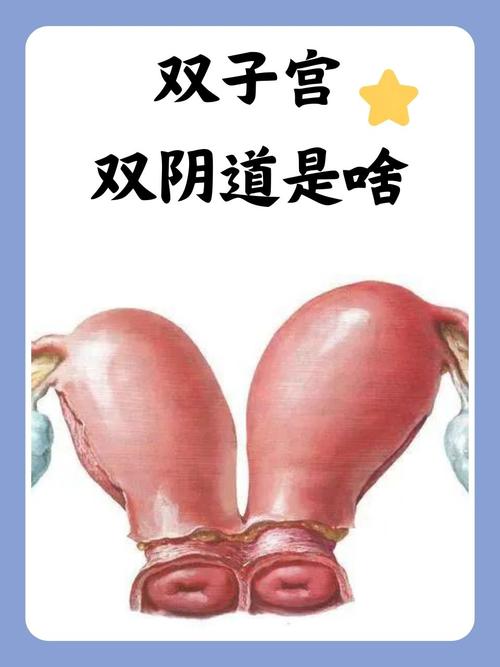 少妇综合亚洲的相关介绍