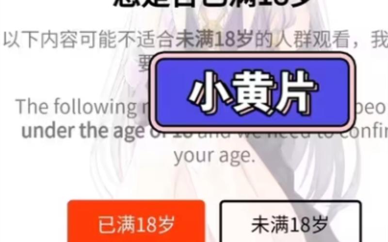 日韩按摩偷拍视频的相关介绍