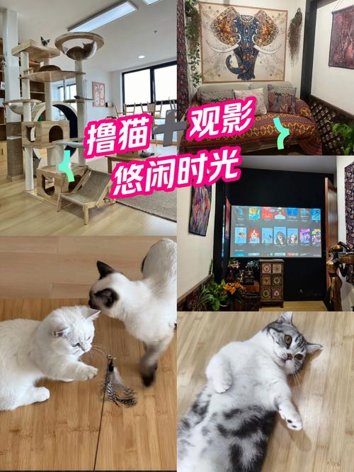 欧美大尺度图片合集的相关介绍
