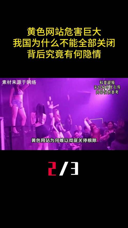 国产精品久久久久久码的相关介绍