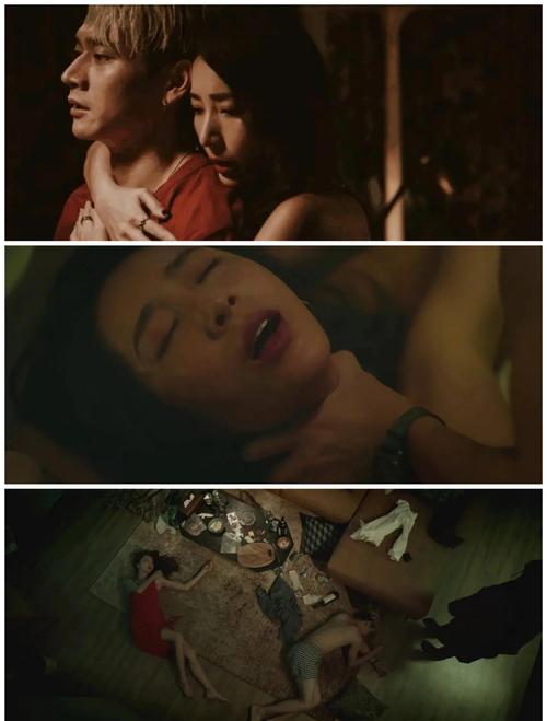 丝袜av在线观看的相关介绍
