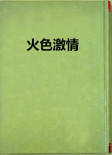 2bbbb亚洲少妇的相关介绍