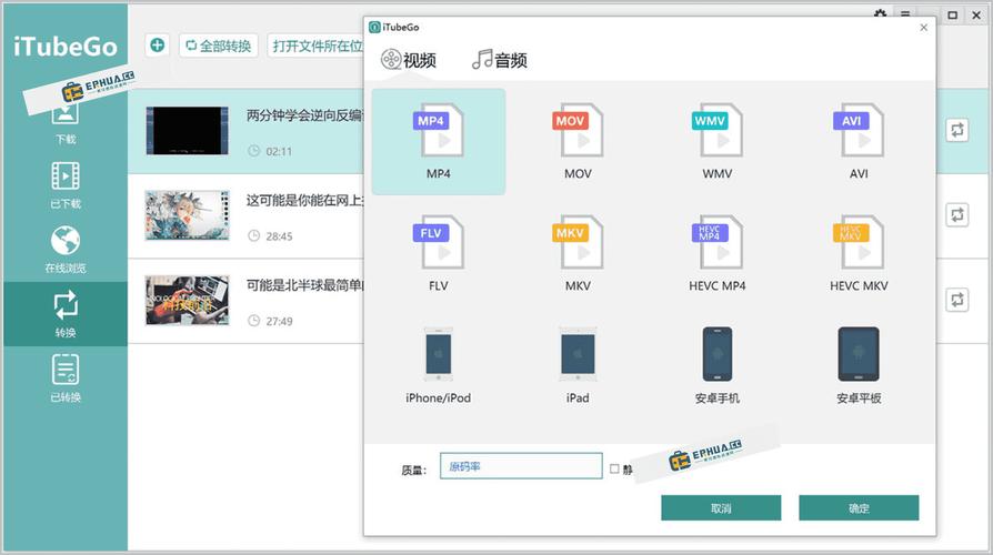 少妇av网的相关介绍