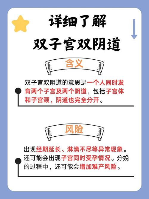 黑蚂蚁影院的相关介绍