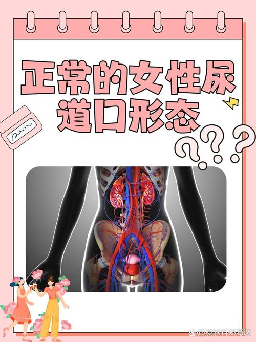 美女老师被按着操的相关介绍