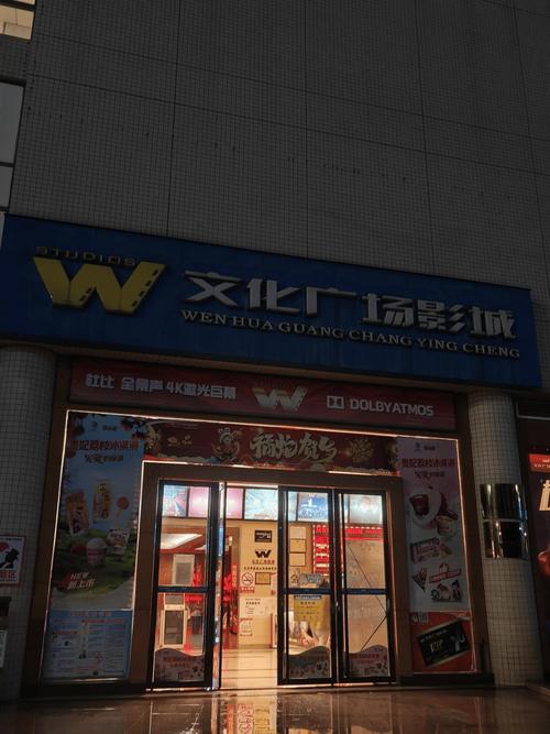 人妻少妇成人的相关介绍
