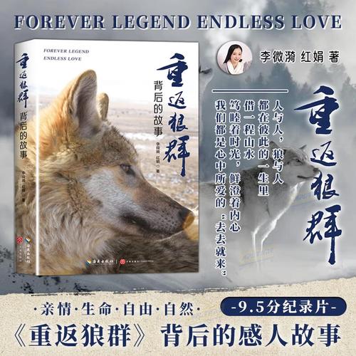 丫丫影院的相关介绍
