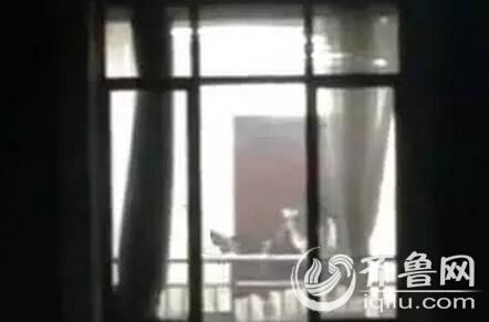 亚洲少妇90p的相关介绍