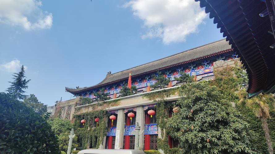 黑蚂蚁影院的相关介绍