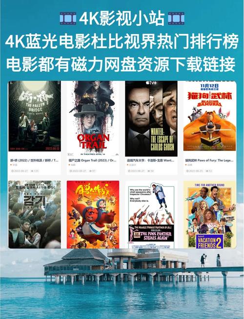 千梦影院免费高清电影的相关介绍