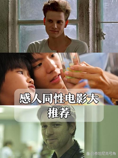 老湿影院48x免费下载的相关介绍